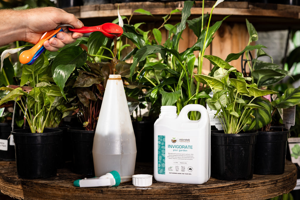 INVIGORATE YOUR GARDEN