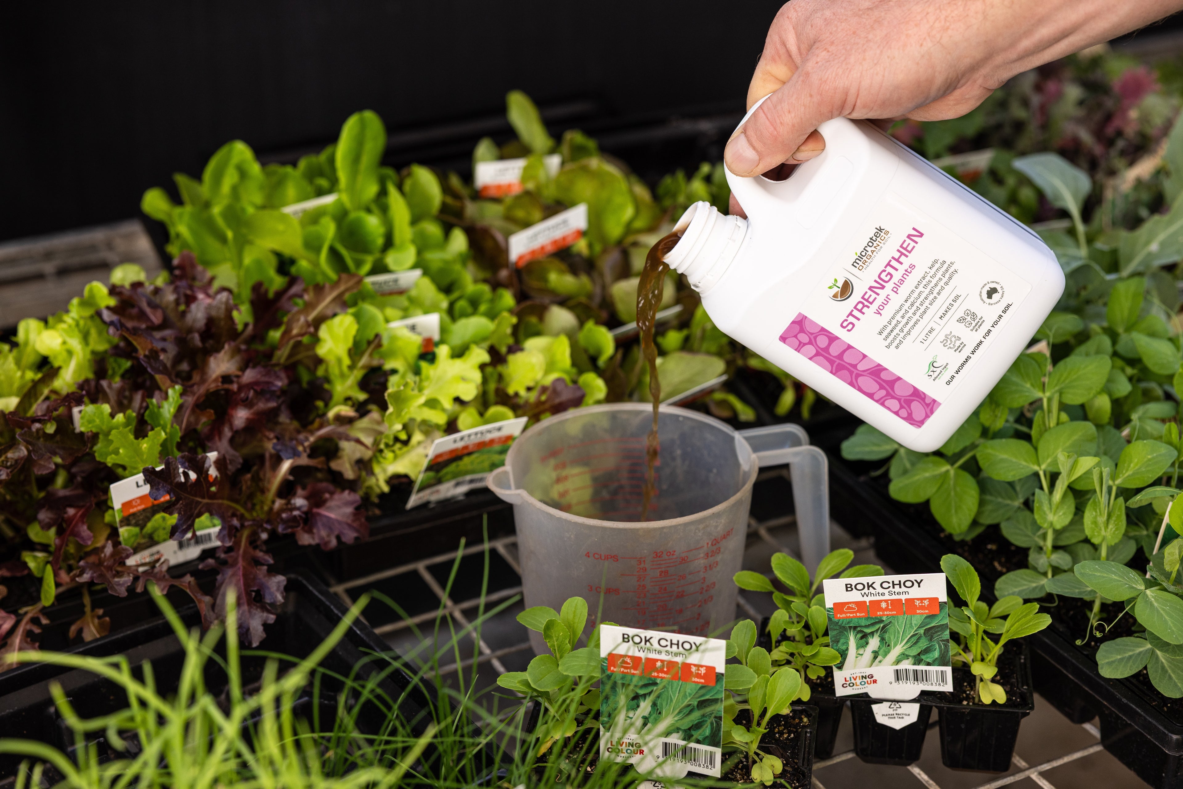 STRENGTHEN YOUR PLANTS